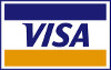 Płatność elektroniczna Visa
